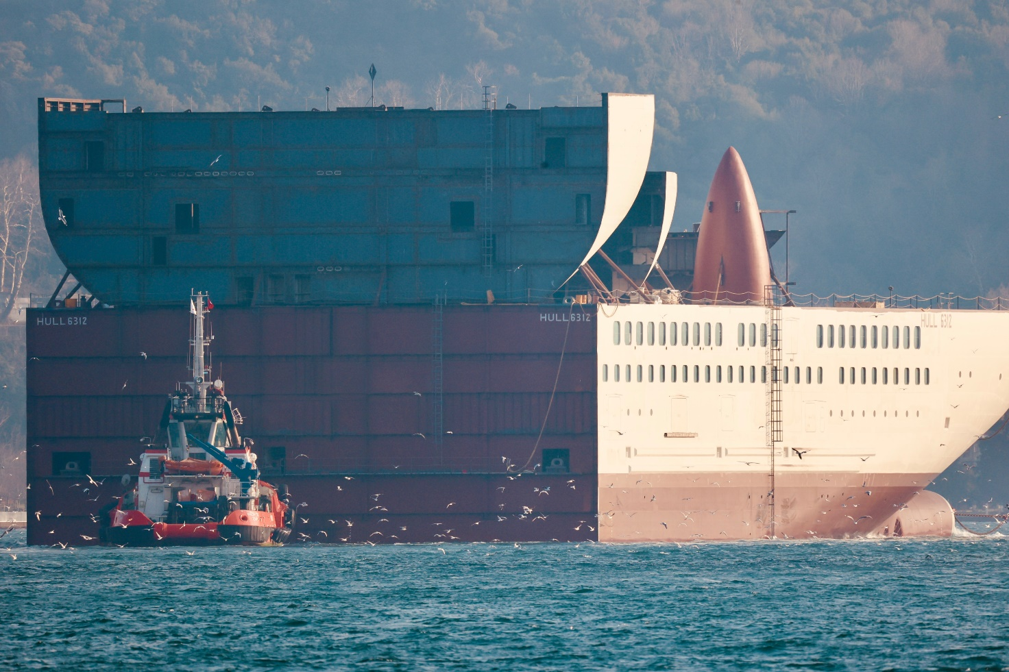 Lng Cruise 6312